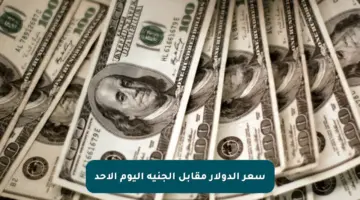 سعر الدولار مقابل الجنيه اليوم الأحد